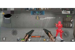 CS2白夜辅助-CS2官匹Steam标签透视开挂工具